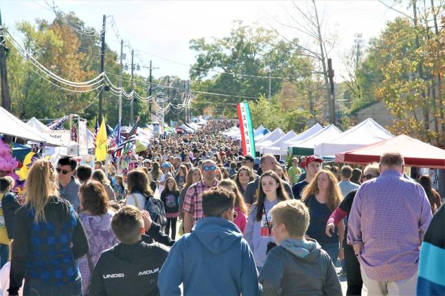 Thousands of people attended the ALF festival on Saturday.