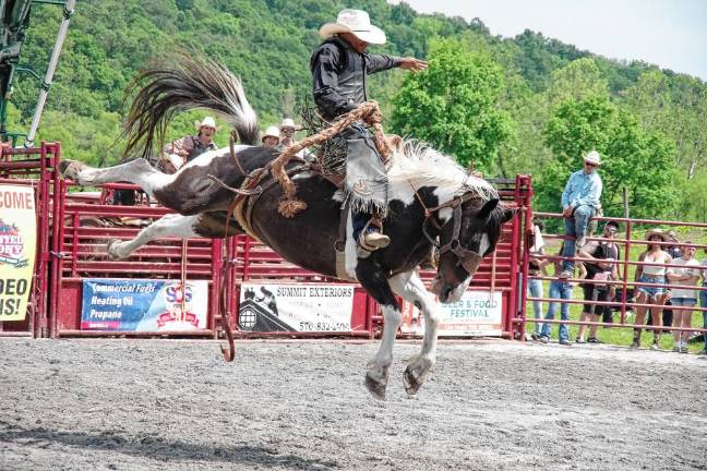 Rodeo is Saturday at Green Valley Farms A display of brawn and beauty during the saddle bronc riding contest.