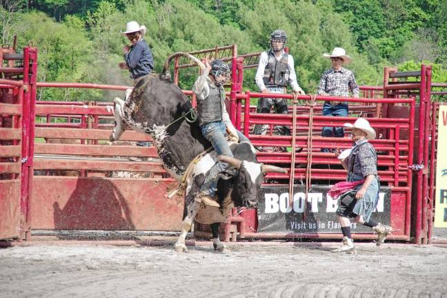 Rodeo is Saturday at Green Valley Farms A bull tries to get a rider off of his back during the bull riding contest.