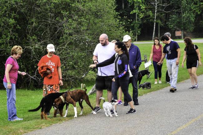 Sun shines on the dog walkers Many pups and their owners turned out for the annual walk-a-dog-athon.