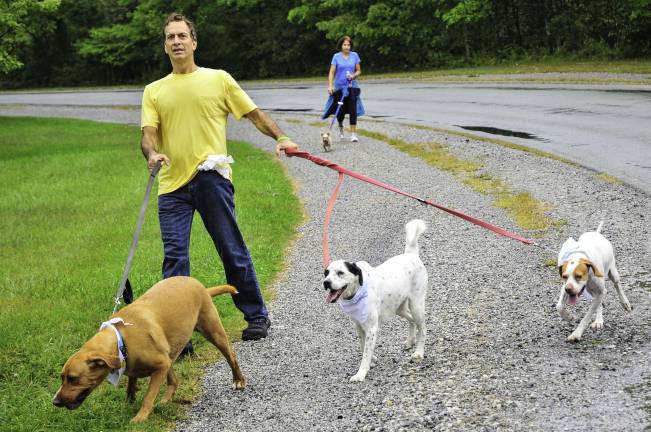 Sun shines on the dog walkers Now he has his hands full!