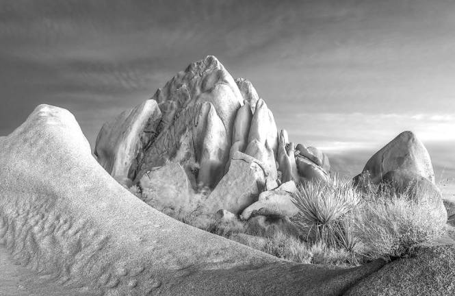 Infared photo of Joshua Tree National Park, California, by Penelope Taylor