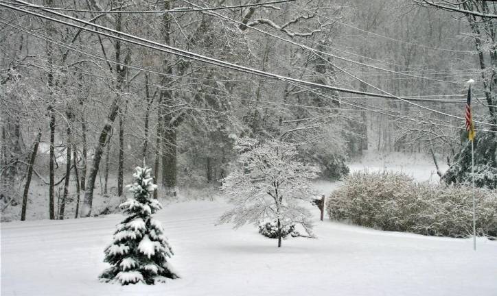 Town gets brunt of first winter storm