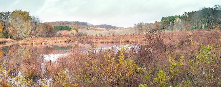 The Beaver Brook from Jonathan's Woods by David Landry.