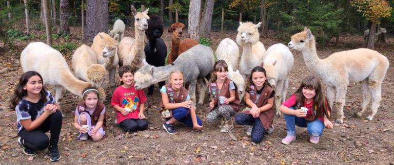 In October, West Milford Girl Scout Troop 97758 went on a tour of Humor Me Farms, a local Alpaca farm in Newfoundland, where they learned, among many things, the likes and dislikes of Alpacas. As their troop leader said: “It was ... an incredibly fun and cuddly experience.” Photos provided by Troop Leader Julia Cheski.