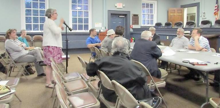 Kathleen Caren addresses the West Milford Economic Development Commission in June 2015. File photo by Ann Genader.