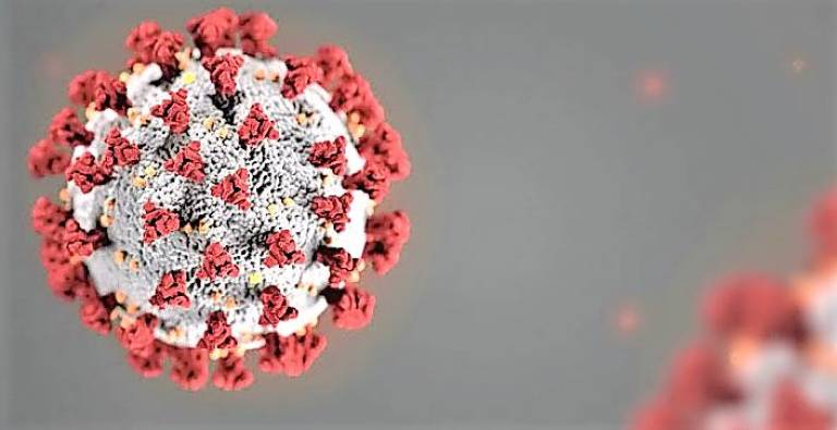 Coronavirus, also known as COVID-19.