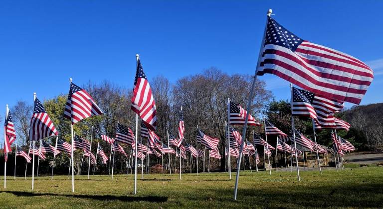 RF2 The flags are blowing in the breeze Wednesday, Nov. 8. (Photo by Rich Adamonis)