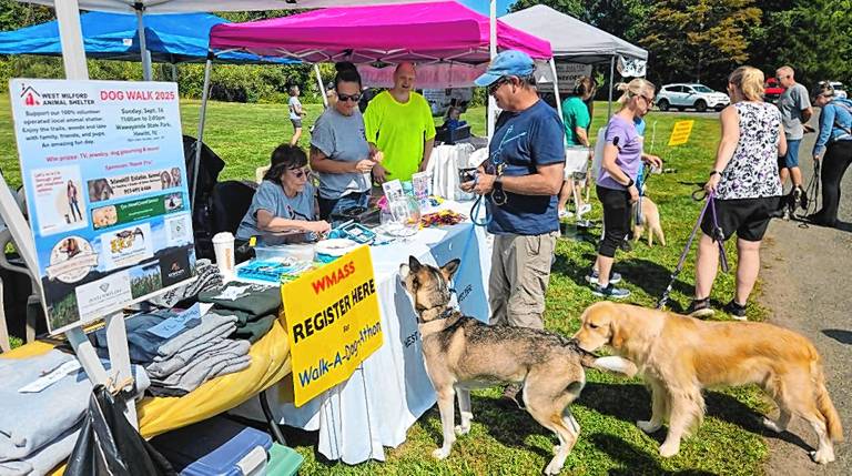 Dog Walk raises money for shelter Two dogs at registration.