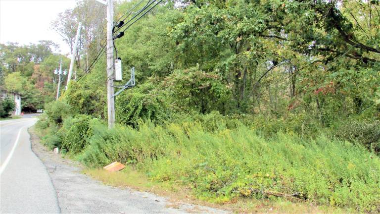 Weeds and debris are visible on Macopin Road just below Weaver Road. The weeds once again took over after chemical spraying by Passaic County left dead grass during summer. This is an example of the current scene along county roads throughout the township.