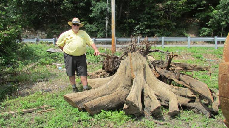 Getting the stumps out PHOTO BY ANN GENADER Mark Johnson removed this tree stump from Greenwood Lake.