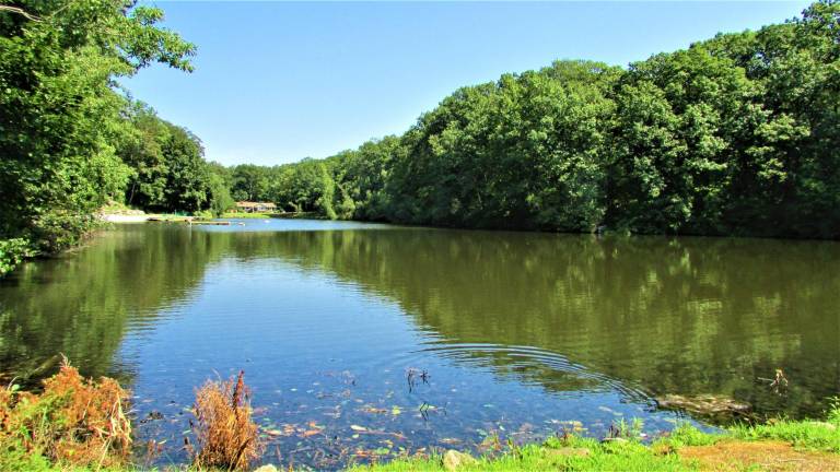 The dam for this lake at Farm Crest Acres is one of two in the Oak Ridge private lake community that will be getting repairs.