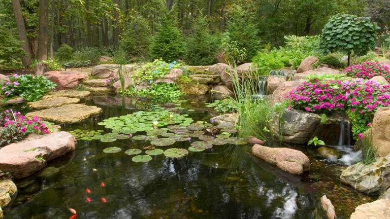 How much does a Koi Pond or Water Garden cost? How much does a Koi Pond or Water Garden cost?