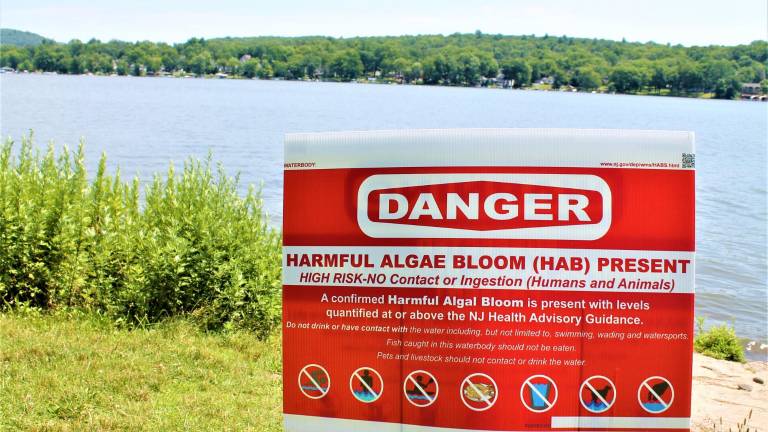 NJ DEP denies state senator’s OPRA request regarding cyanobacteria levels NJ DEP denies state senator’s OPRA request regarding cyanobacteria levels