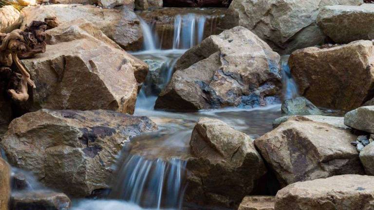 How much does a Koi Pond or Water Garden cost? How much does a Koi Pond or Water Garden cost?