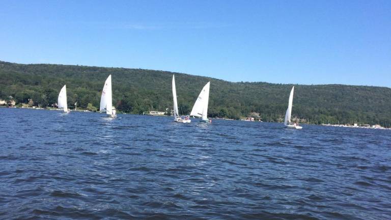 ‘On the rise:’ Cyanobacteria levels increasing on Jersey side of Greenwood Lake ‘On the rise:’ Cyanobacteria levels increasing on Jersey side of Greenwood Lake