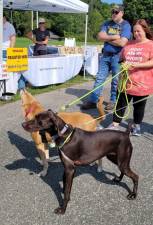 For the West Milford Animal Shelter Society’s annual Dog Walk on Sunday, Sept. 17, there is a suggested tax-deductible donation of $10 per dog; people are free. (Photo provided)