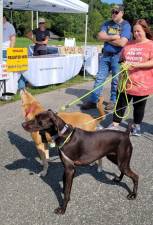 For the West Milford Animal Shelter Society’s annual Dog Walk on Sunday, Sept. 17, there is a suggested tax-deductible donation of $10 per dog; people are free. (Photo provided)