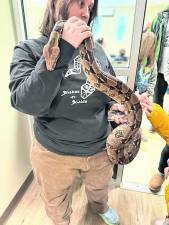 Erin Mellini of Snakes-N-Scales shows lets a child feel a snake.