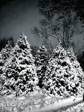 West Milford was hit by several snow storms on Saturday and Sunday.