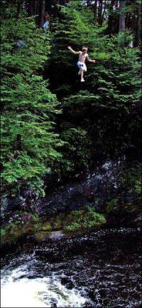 Leaping into the unknown