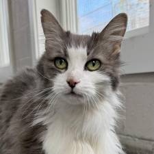 Meet Clarissa