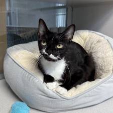 Meet Enya