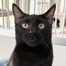 Meet Arthur