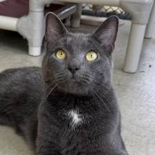 Meet Earl