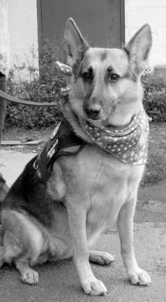 In memory of Nikita