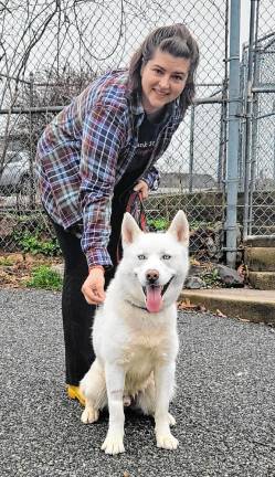 Janine Napierkowski enjoys grooming and training dogs.