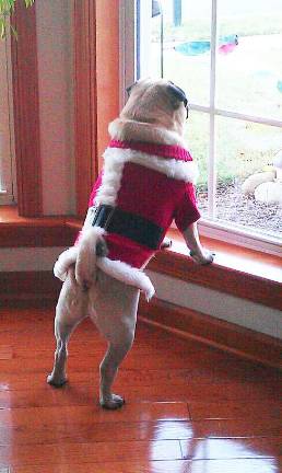 Submitted by Leanne Crouthamel of Milford, Penn. Charlie Claus, 3 years old.