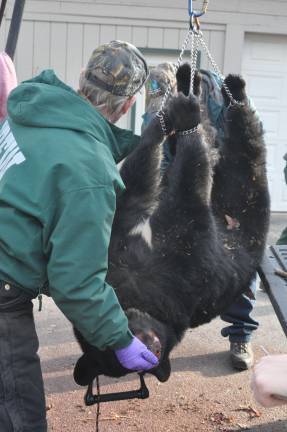 Numbers lower on opening day of bear hunt