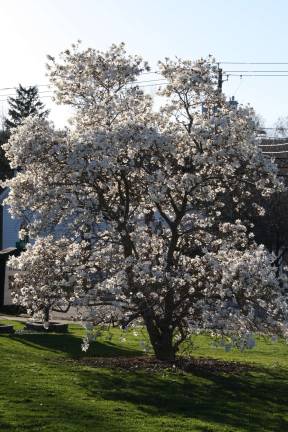 Spring has sprung