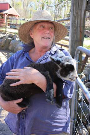 Two Pond Farm owner, Allison Hosford, snuggles with one of the two sets of triplet lambs born at the farm less than three weeks ago. The little spring lamb has no name yet, but she's soft and wooly and unbelievably cute. Hosford can handle the usually very shy animal because she has been bottle feeding her due the ewe having difficulty in nursing. Photo by Ginny Raue