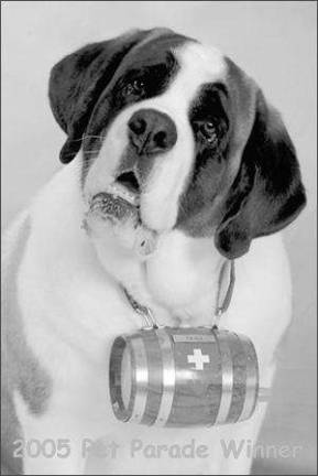 Pet Parade' to raise funds rescue squad