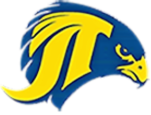 Sports roundup: Falcons lose in group semifinal