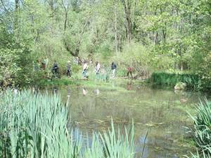 Check out the magical sights and sounds of fall at the NJ Botanical Garden.