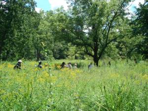 BG1 The Bergen County Audubon Society will lead a walk through the gardens and fields to look for and identify the migrating birds and butterflies that visit the New Jersey State Botanical Garden in Ringwood. (Photo courtesy of NJBG)