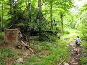 Photo courtesy of Dan Balogh Many hiker, bikers and equestrians use the 11 miles of trails at the old Jungle Habitat site.