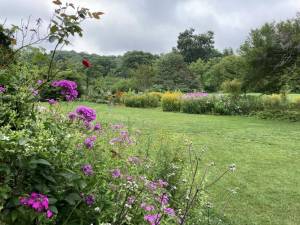 A Wildflower Walk will be held Saturday, June 10 at the New Jersey State Botanical Garden in Ringwood. (Photo courtesy of NJBG)