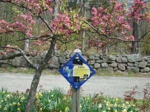 NJBG celebrates Earth Day