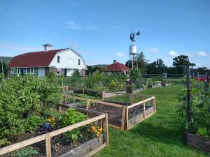 Wallisch Homestead Community Garden took first place for Best Community Garden. (Photo provided)