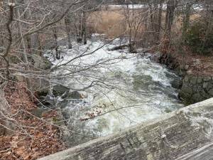 WA1 Water rushing in Wawayanda State Park in Hewitt after recent rain and snowstorms. (Photo provided by Michael D’Agostino)