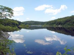 The Apshawa Preserve is a 576-acre nature preserve in the highlands of northern New Jersey, located off Northwood Drive in West Milford. Photo source: Wikipedia.