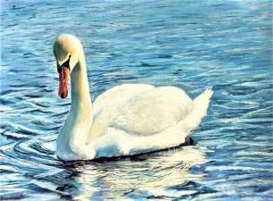 Swan is one of the works freom local artist Patricia Quirk.