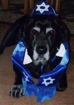 Submitted by Marjorie Lipson of Milford, Pa. "Lucky celebrating Chanukah."