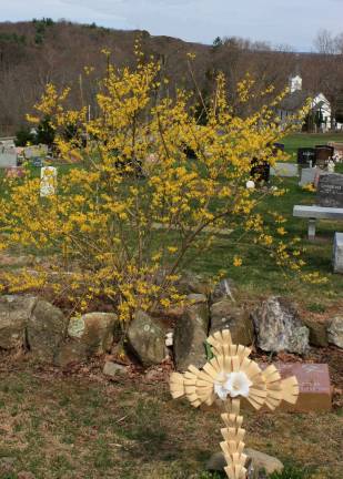 Palm cross in historic Saint Joseph Church Cemetery, Germantown Road, West Milford. Palm Sunday, the Sunday before Easter, commemorates Jesus' triumphant entry into Jerusalem. Photo by Ginny Raue