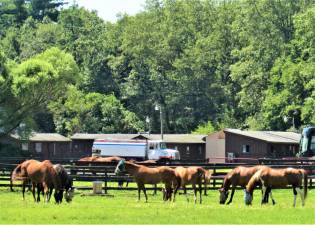 Horse Farms in West Milford are regulated by the New Jersey Animal Waste Management Plan.