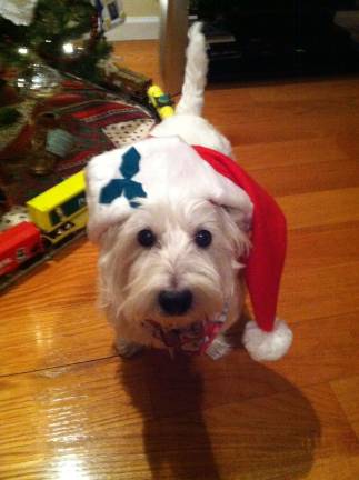 Submitted by Therese Long of Warwick, N.Y. "Frostie comes to town to wish everyone happy holidays."